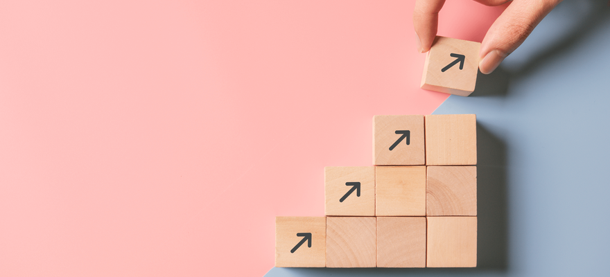 Conseil en gestion et développement
